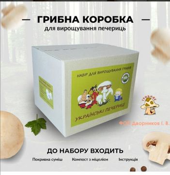 Вирощування печериць, гриби в домашніх умовах.