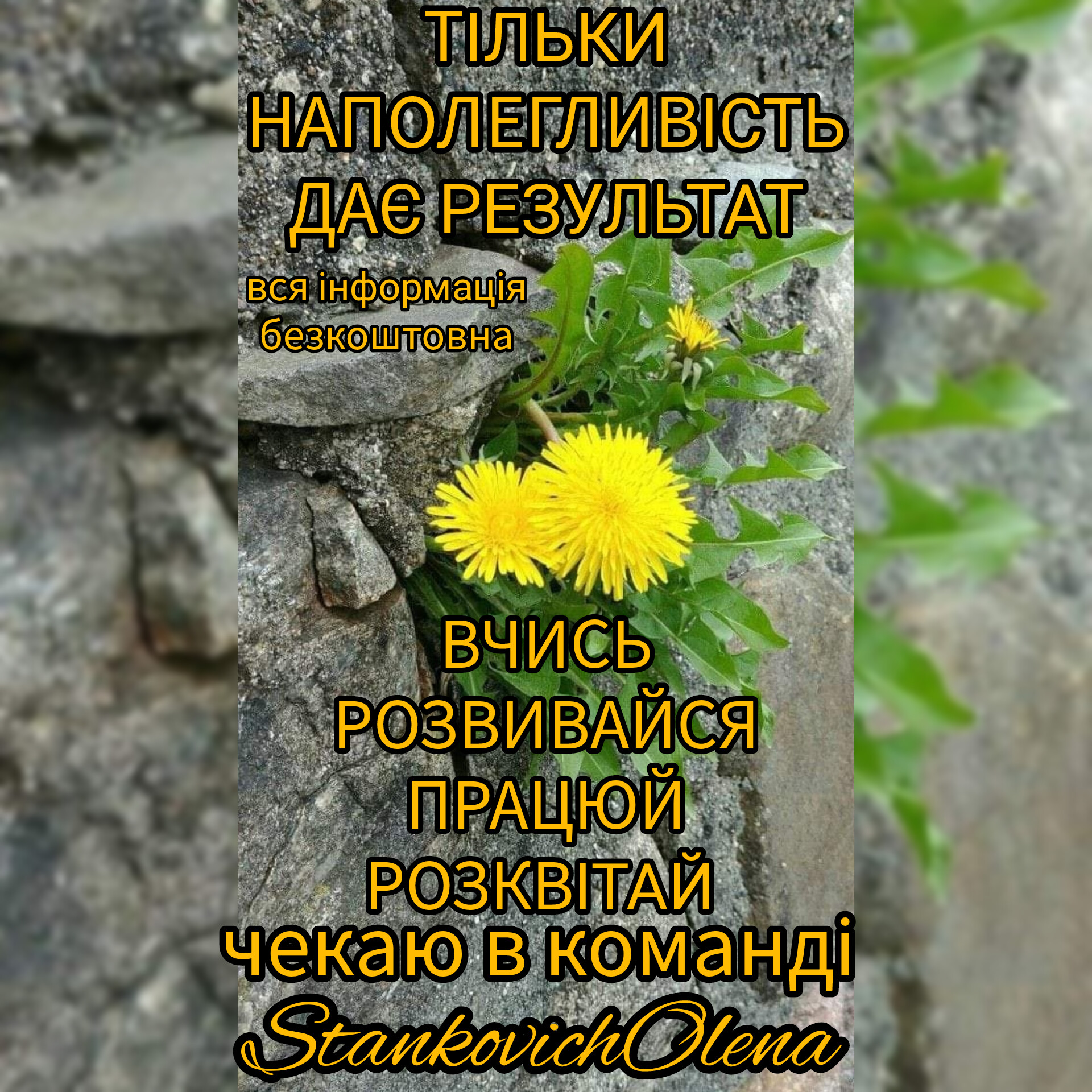 Запрошую в команду